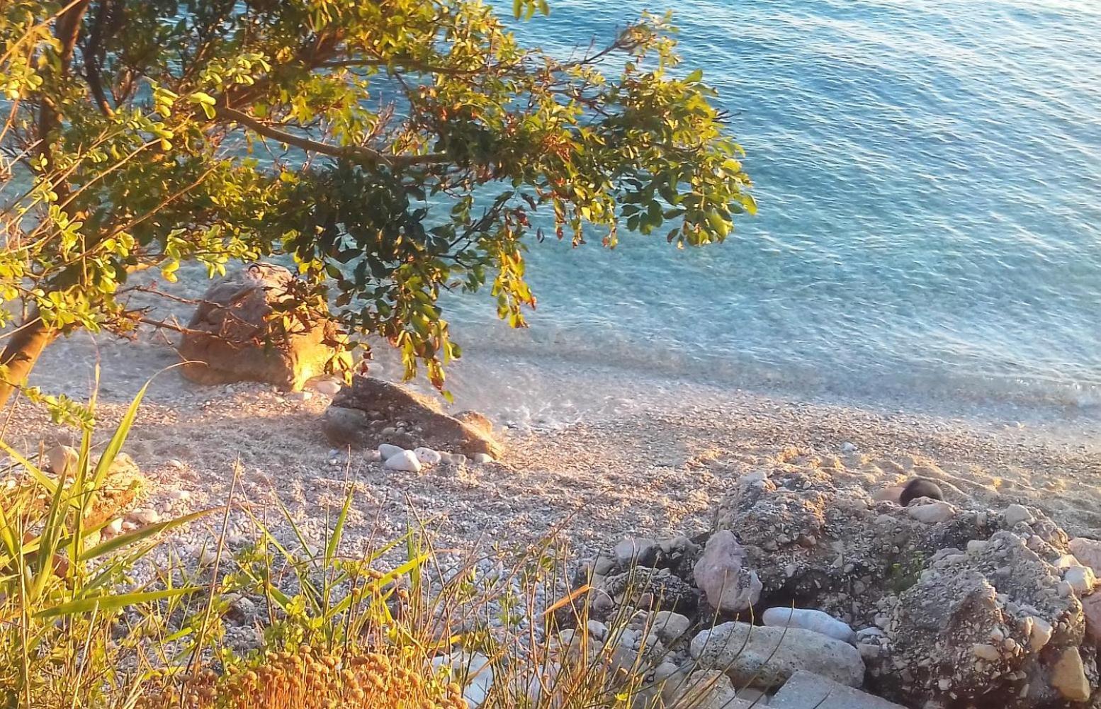 Maramare Pinus Apartmán *