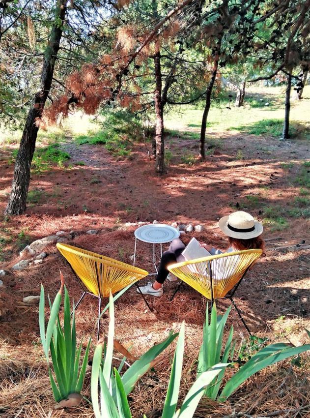 Maramare Pinus Apartmán *